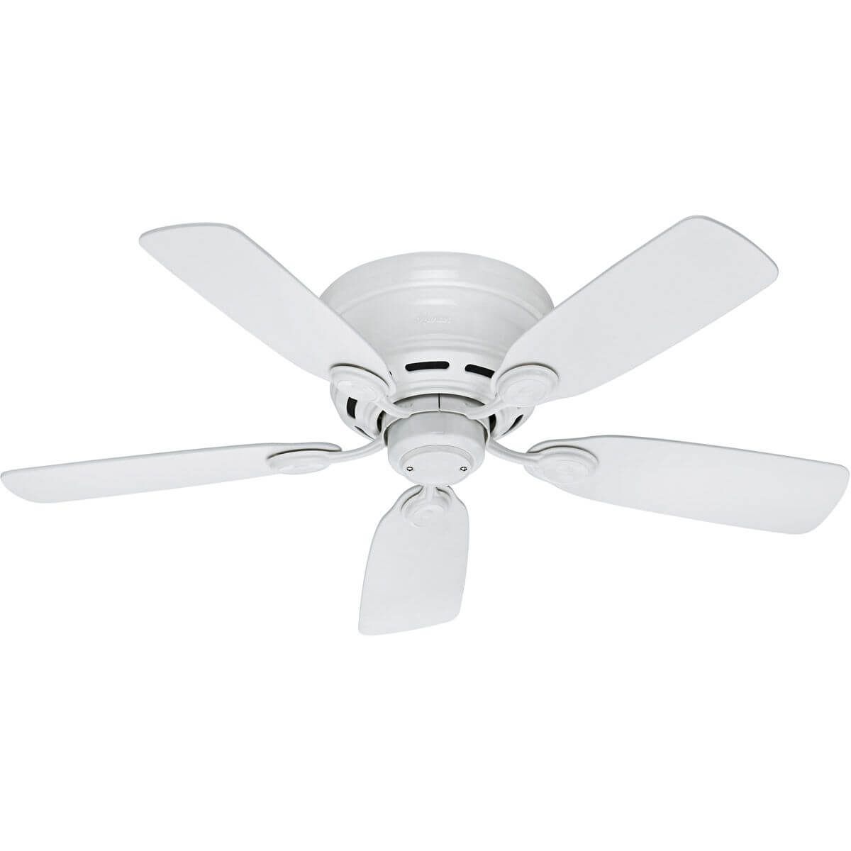 Hunter Ceiling Fan