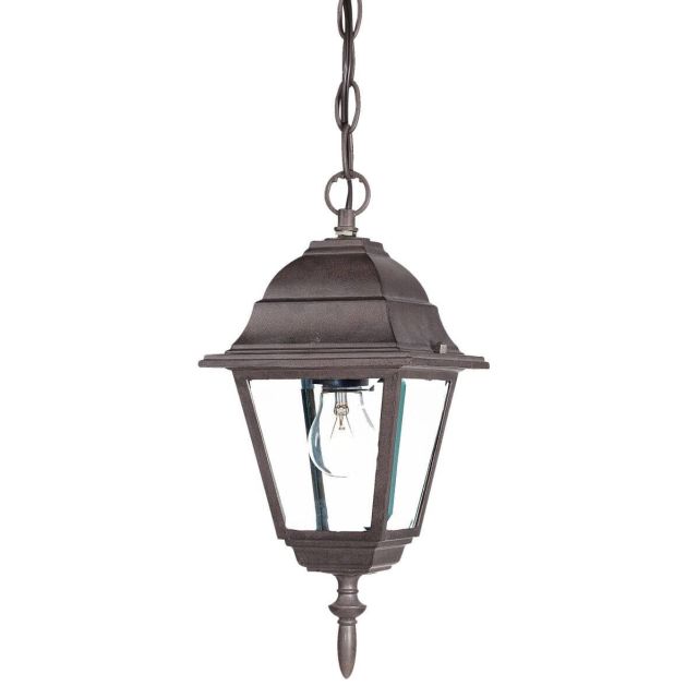 Acclaim Lighting Builder's Choice 1 Light 8 inch Outdoor Hanging Lantern in Burled Walnut with Clear Glass Panes 4006BW
