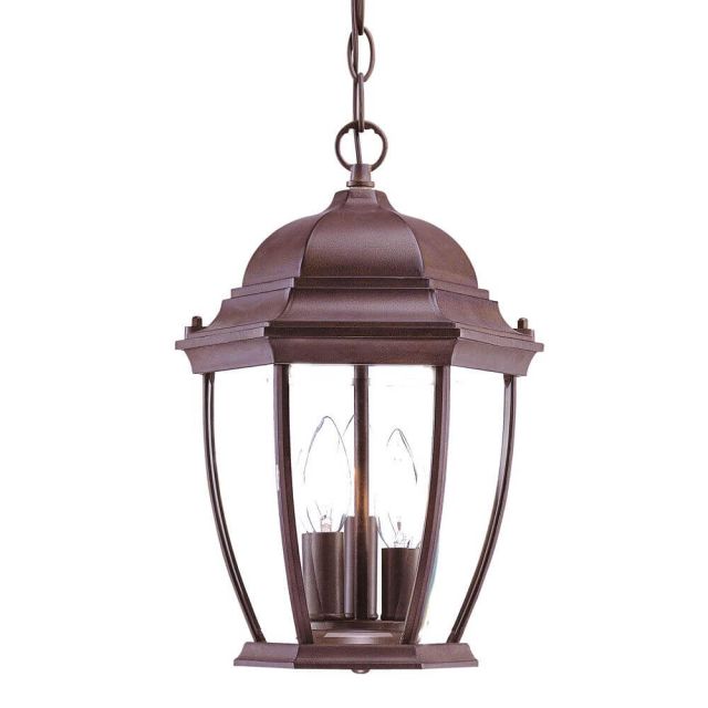 Acclaim Lighting Wexford 3 Light 10 inch Outdoor Hanging Lantern in Burled Walnut with Clear Glass Panes 5036BW
