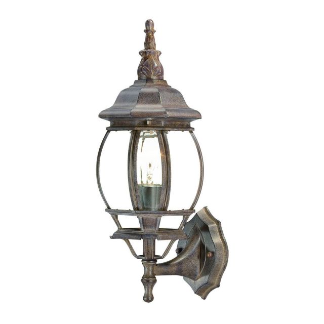 Acclaim Lighting Chateau 1 Light 18 inch Tall Outdoor Wall Light in Burled Walnut with Clear Glass Panes 5051BW