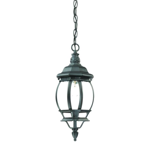 Acclaim Lighting 5056BK Chateau 1 Light 6 inch Outdoor Hanging Lantern in Matte Black with Clear Glass Panes