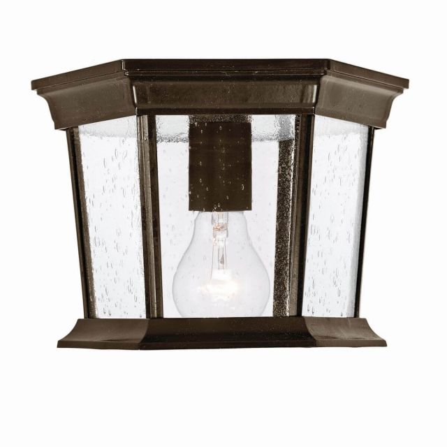Acclaim Lighting Dover 1 Light 11 inch Outdoor Ceiling Light in Burled Walnut with Clear Seeded Glass Panes 5275BW/SD