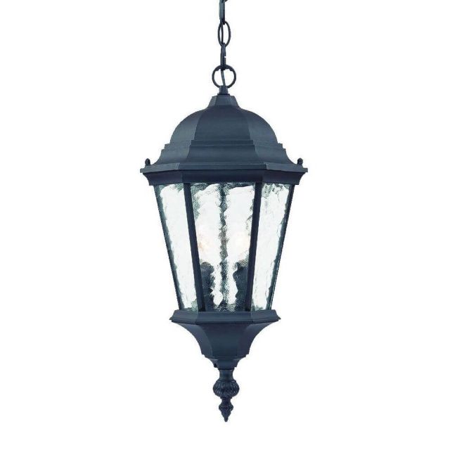 Acclaim Lighting 5516BK Telfair 2 Light 10 inch Outdoor Hanging Lantern in Matte Black with Clear Glass Panes