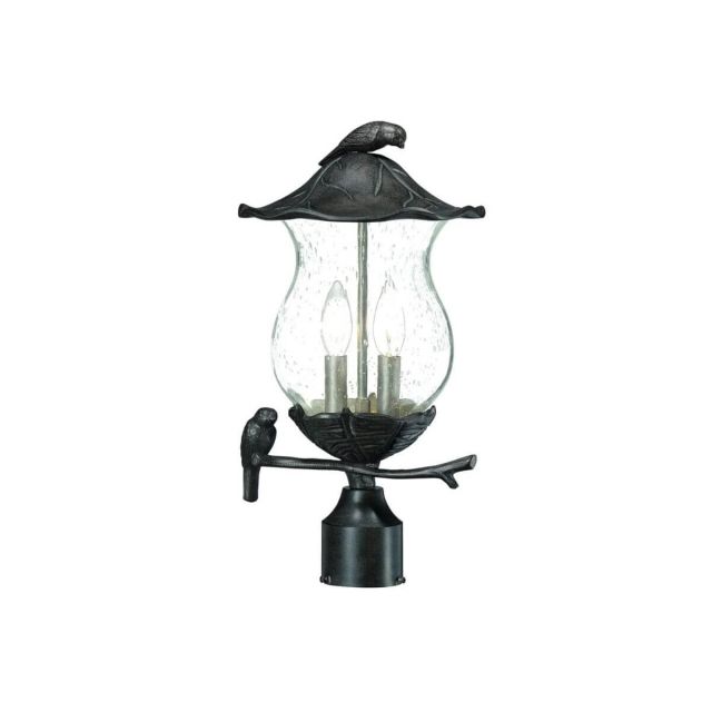Acclaim Lighting 7567BC/SD Avian 2 Light 18 inch Tall Outdoor Post Mount Light in Black Coral with Clear Glass Globe