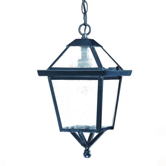 Acclaim Lighting 7616BK Bay Street 1 Light 8 inch Outdoor Hanging Lantern in Matte Black with Clear Seeded Glass Panes