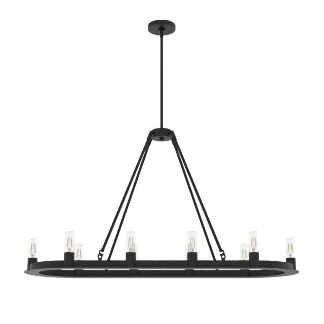 Hunter 19027 Saddlewood 10 Light 46 inch Linear Light in Natural Iron