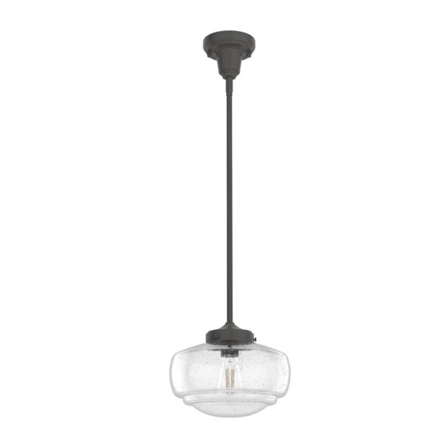 Hunter Saddle Creek 1 Light 10 inch Mini Pendant in Noble Bronze with Clear Seeded Glass 19187