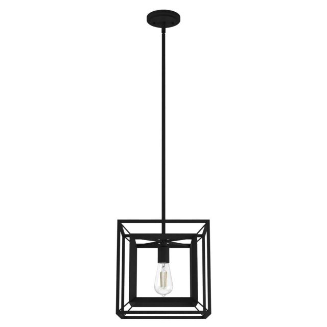 Hunter 19406 Doherty 1 Light 12 inch Convertible Pendant in Natural Iron