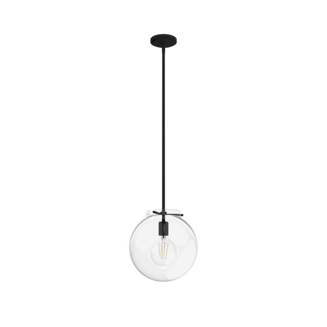 Hunter 19660 Sacha 1 Light 12 inch Pendant in Natural Iron with Clear Glass