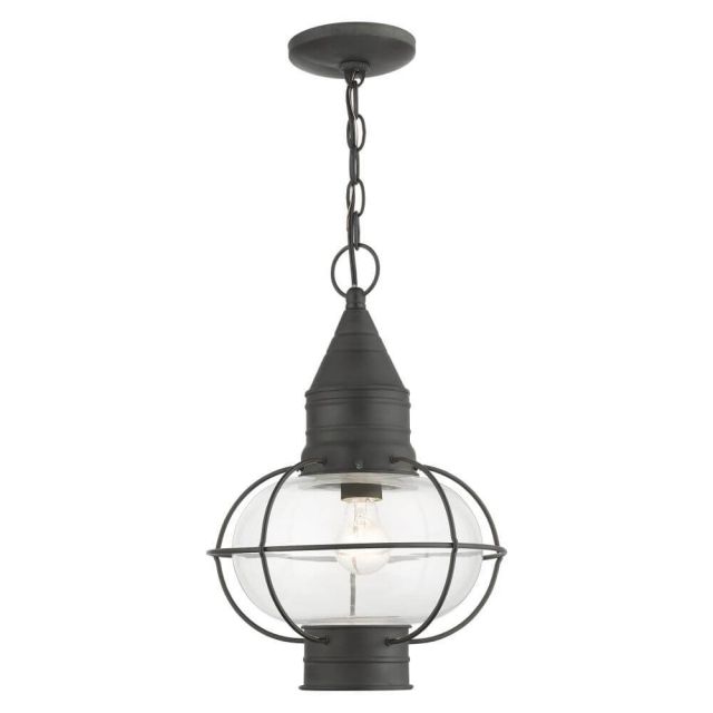 Livex 26906-61 Newburyport 1 Light 11 Inch Outdoor Hanging Lantern in Charcoal with Hand Blown Clear Glass