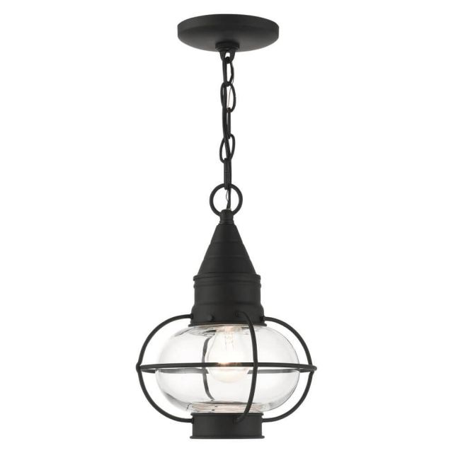 Livex 26910-04 Newburyport 1 Light 9 Inch Outdoor Hanging Lantern in Black with Hand Blown Clear Glass