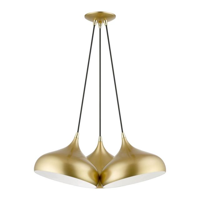Livex 41053-33 Amador 3 Light 25 inch Cluster Pendant in Soft Gold-Polished Brass Accents
