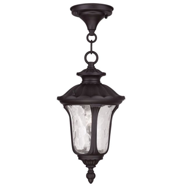 Livex 7849-07 Oxford 1 Light 7 inch Outdoor Hanging Lantern In Bronze with Clear Water Glass
