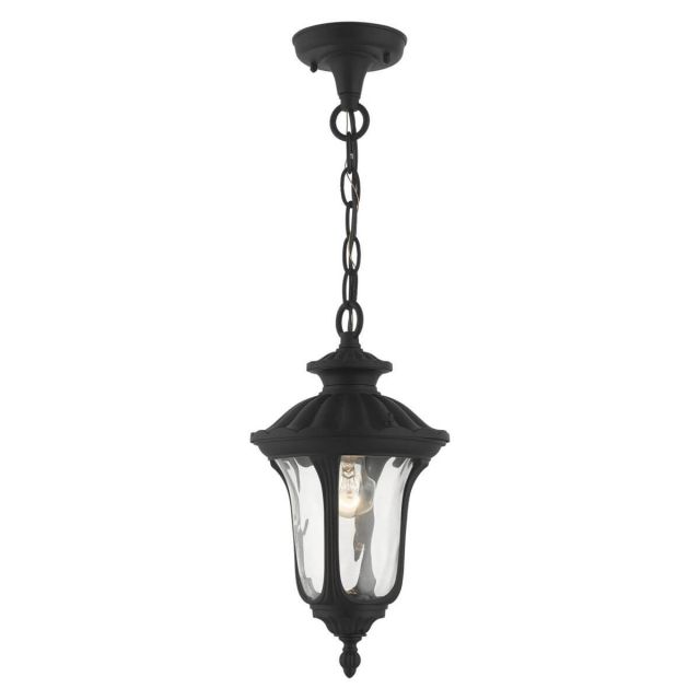 Livex 7849-14 Oxford 1 Light 7 inch Outdoor Hanging Lantern in Textured Black with Hand Blown Clear Water Glass