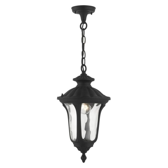 Livex 7854-14 Oxford 1 Light 10 Inch Outdoor Hanging Lantern in Textured Black with Hand Blown Clear Water Glass