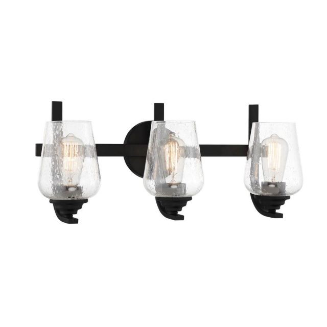 Minka Lavery 1923-66A Shyloh 3 Light 2 inch Bath Light in Coal with Clear Seeded Glass