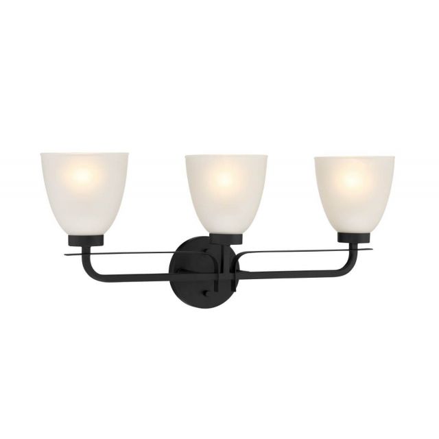 Minka Lavery 2883-66A Kaitlen 3 Light 24 inch Bath Light in Coal with Etched Glass