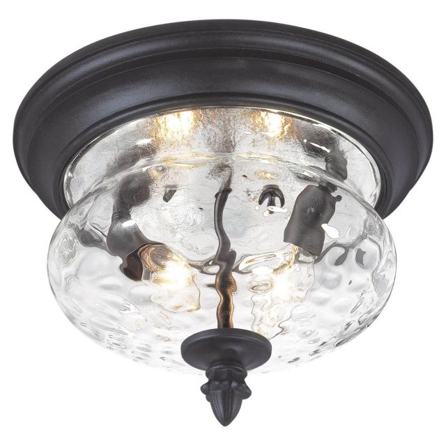 Minka Lavery 9909-1-66 Ardmore 2 Light 12 inch Outdoor Flush Mount in Coal with Clear Hammered Glass