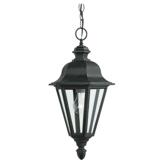 Generation Lighting 6025-12 Brentwood 1 Light 10 Inch Outdoor Pendant In Black With Clear Shade