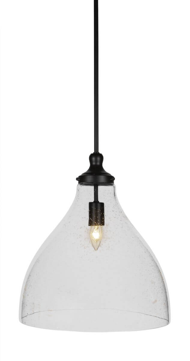 Toltec Lighting 77-MB-4740 Juno 1 Light 16 inch Pendant in Matte Black with Clear Bubble Glass