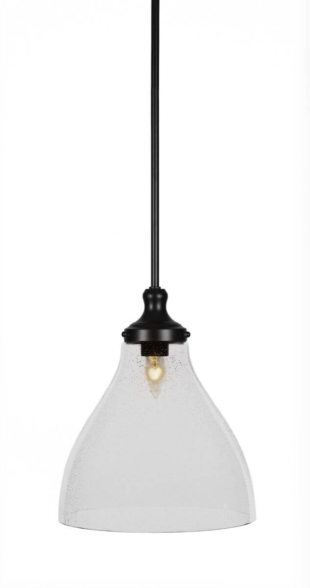 Toltec Lighting 79-MB-4720 Juno 1 Light 12 inch Pendant in Matte Black with Clear Bubble Glass
