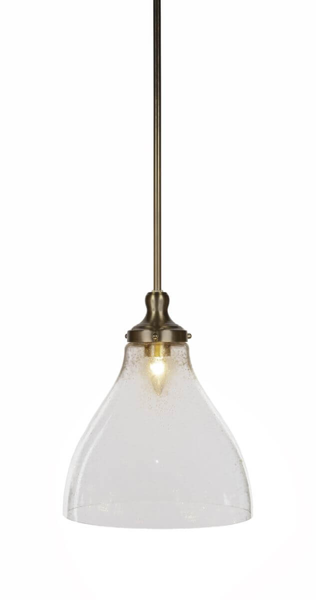 Toltec Lighting 79-NAB-4720 Juno 1 Light 12 inch Pendant in New Age Brass with Clear Bubble Glass