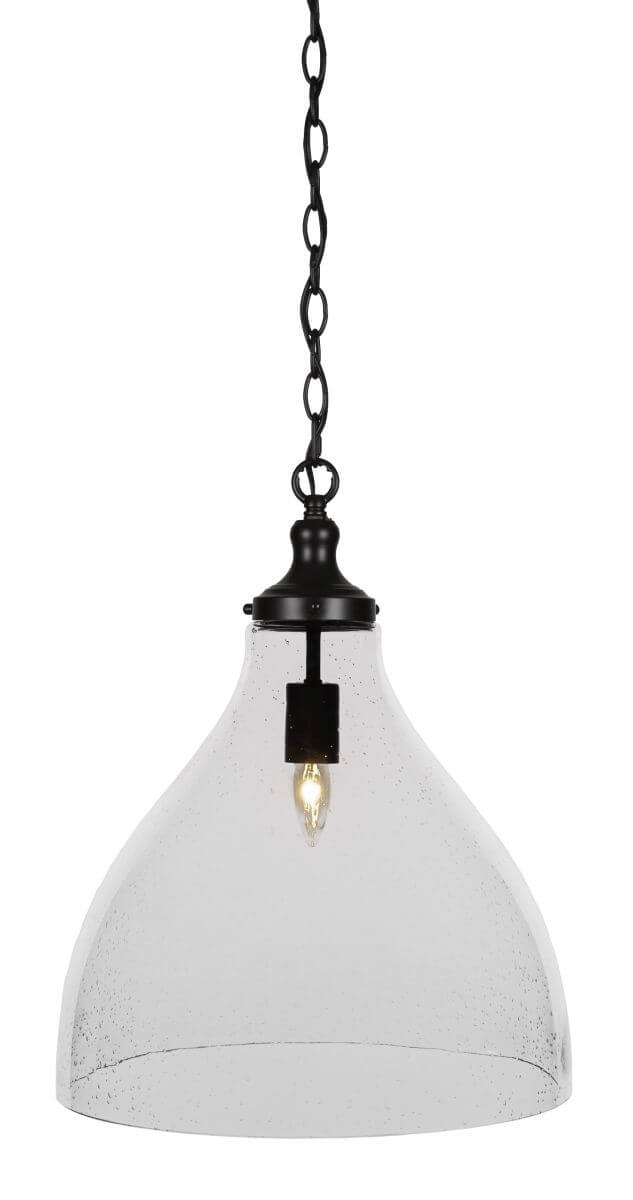 Toltec Lighting 97-MB-4740 Juno 1 Light 16 inch Pendant in Matte Black with Clear Bubble Glass
