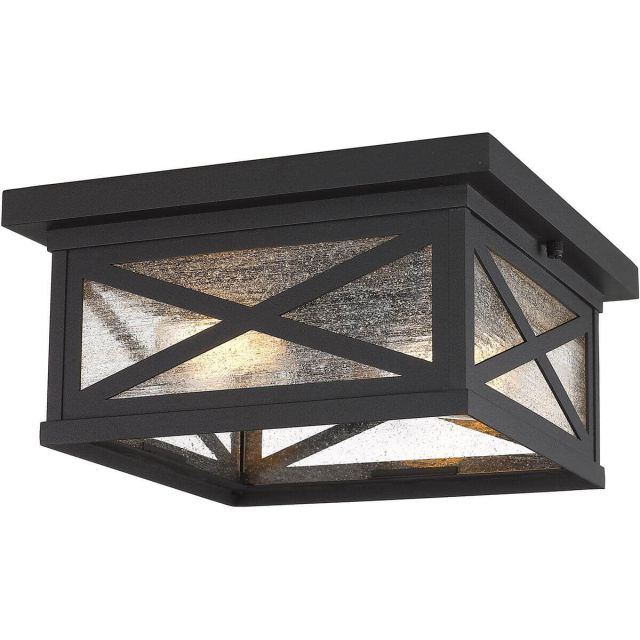 Z-Lite Lighting Brookside 2 Light 12 Inch Outdoor Flush Ceiling Mount Fixture in Black with Clear Seedy Glass 583F-BK
