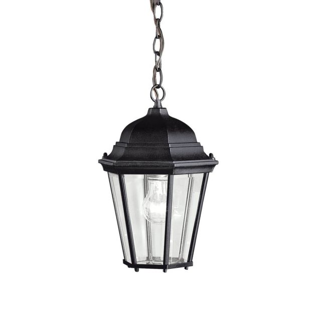 9 inch 1 Light Outdoor Hanging Pendant in Black - 219521