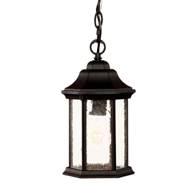1 Light 12 Inch Tall Outdoor Hanging Lantern In Black - 229209