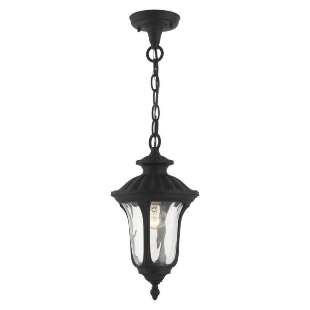 7 inch 1 Light Outdoor Hanging Lantern in Black with Hand Blown Clear Water Glass - 235230