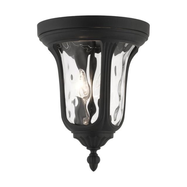 2 Light 11 Inch Outdoor Ceiling Mount in Black with Hand Blown Clear Water Glass - 235247