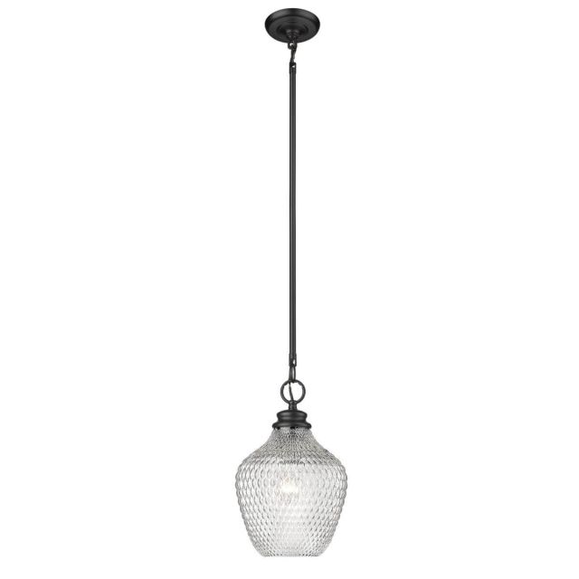 1 Light 9 inch Pendant in Matte Black with Clear Glass Shade - 244801