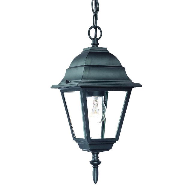 1 Light 8 inch Outdoor Hanging Lantern in Matte Black with Clear Glass Panes - 251872