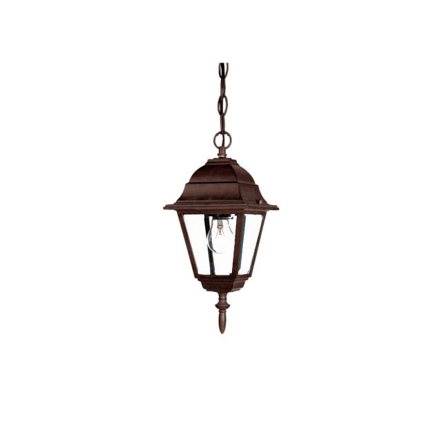 1 Light 8 inch Outdoor Hanging Lantern in Burled Walnut with Clear Glass Panes - 251873