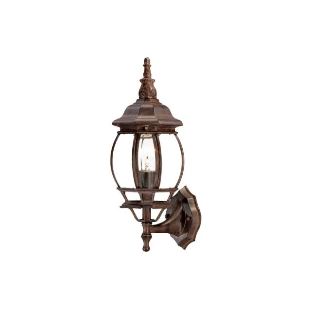 1 Light 18 inch Tall Outdoor Wall Light in Burled Walnut with Clear Glass Panes - 251896