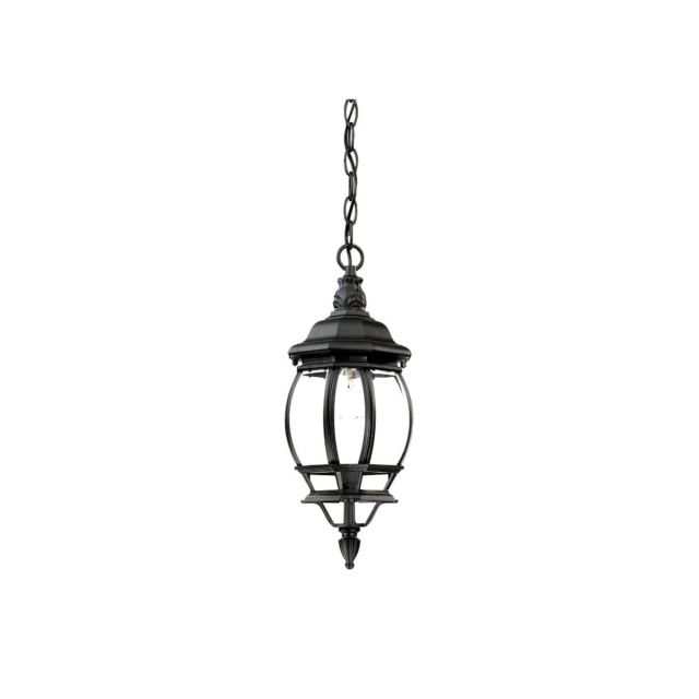1 Light 6 inch Outdoor Hanging Lantern in Matte Black with Clear Glass Panes - 251897