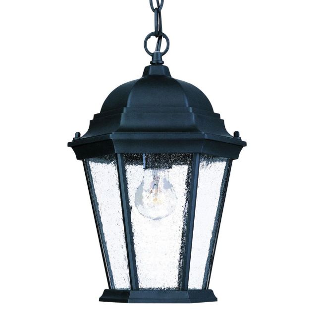 1 Light 10 inch Outdoor Hanging Lantern in Matte Black with Clear Seeded Glass Panes - 251925