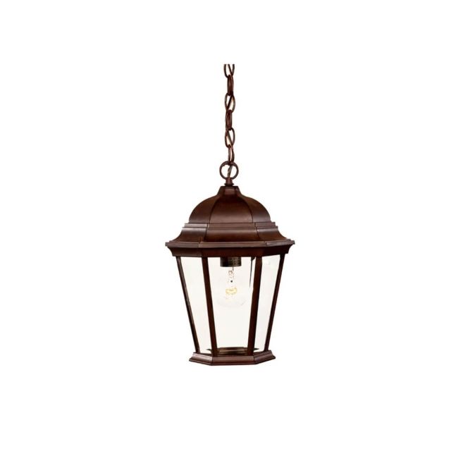1 Light 10 inch Outdoor Hanging Lantern in Burled Walnut with Clear Beveled Glass Panes - 251926