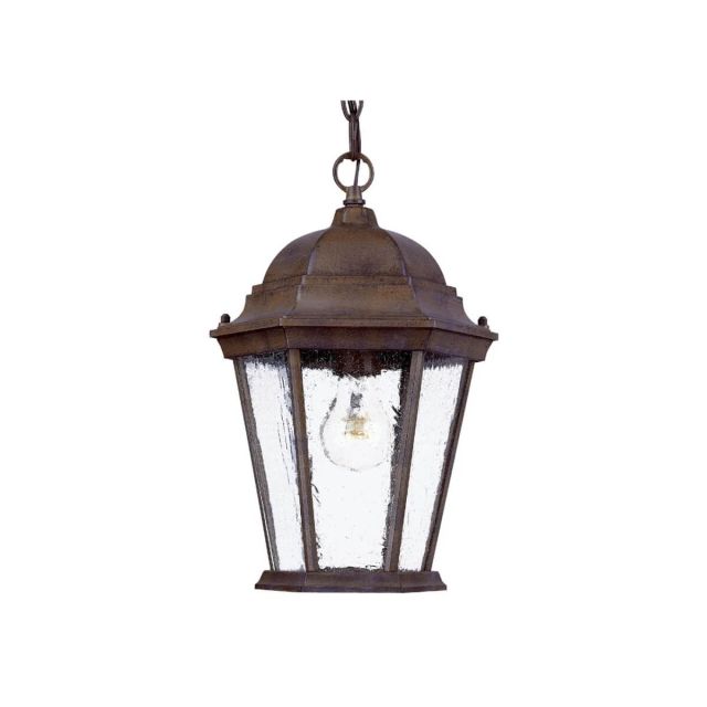 1 Light 10 inch Outdoor Hanging Lantern in Burled Walnut with Clear Seeded Glass Panes - 251927
