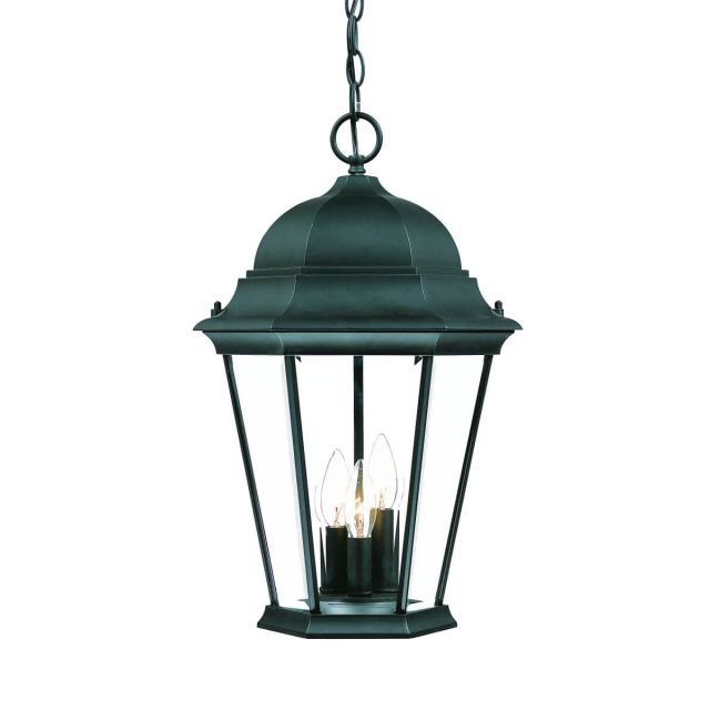 3 Light 12 inch Outdoor Hanging Lantern in Matte Black with Clear Beveled Glass Panes - 251931