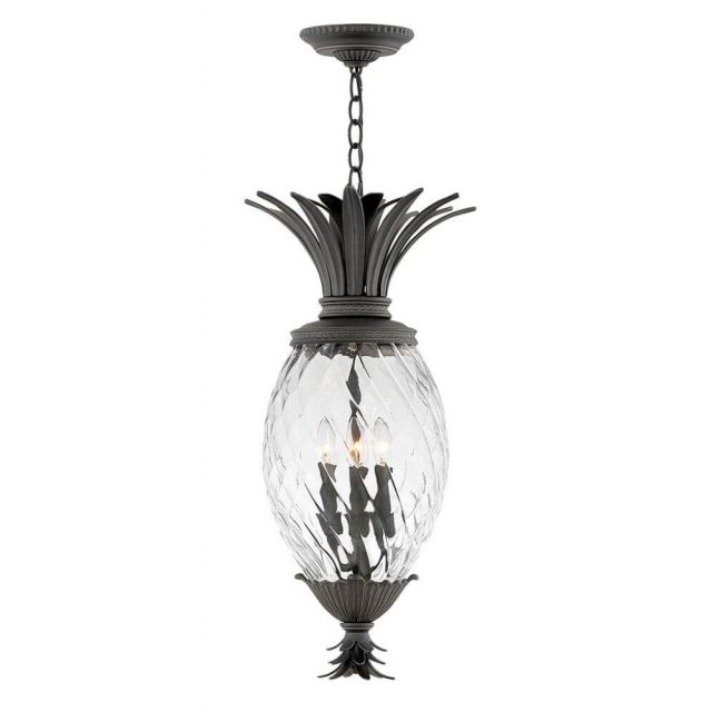 Hinkley Lighting Plantation 4 Light 13 Inch Outdoor Hanging Lantern in Museum Black with Clear Optic Glass 2122MB