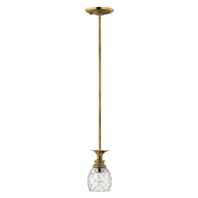 Hinkley Lighting Plantation 1 Light 5 inch Pendant In Burnished Brass With Clear Optic Glass 5317BB