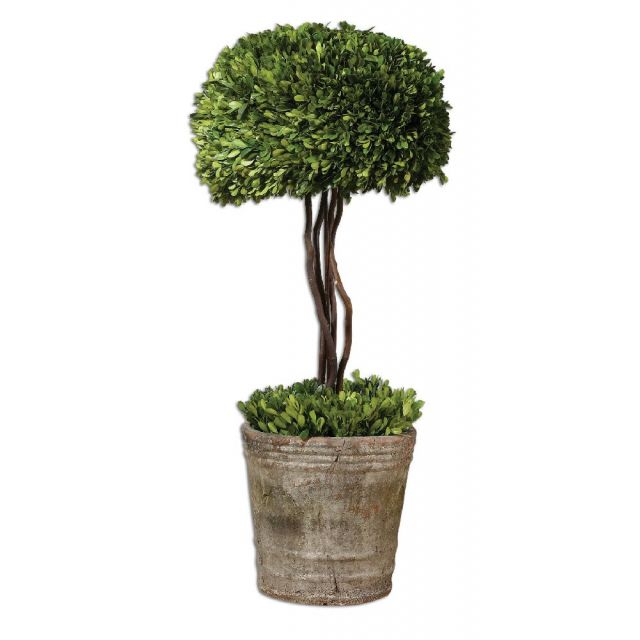 Uttermost 14 x 33 inch Tree Topiary Preserved Boxwood 60095