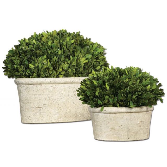 Uttermost Preserved Boxwood 14 x 12 inch Botanical In Stone 60107