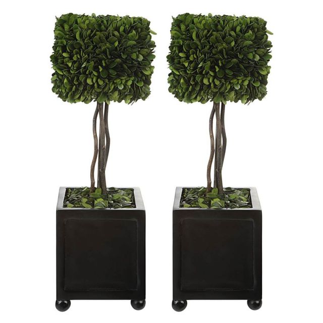 Uttermost Preserved Boxwood 6 x 19 inch Square Topiaries Set of 2 in Satin Black 60187