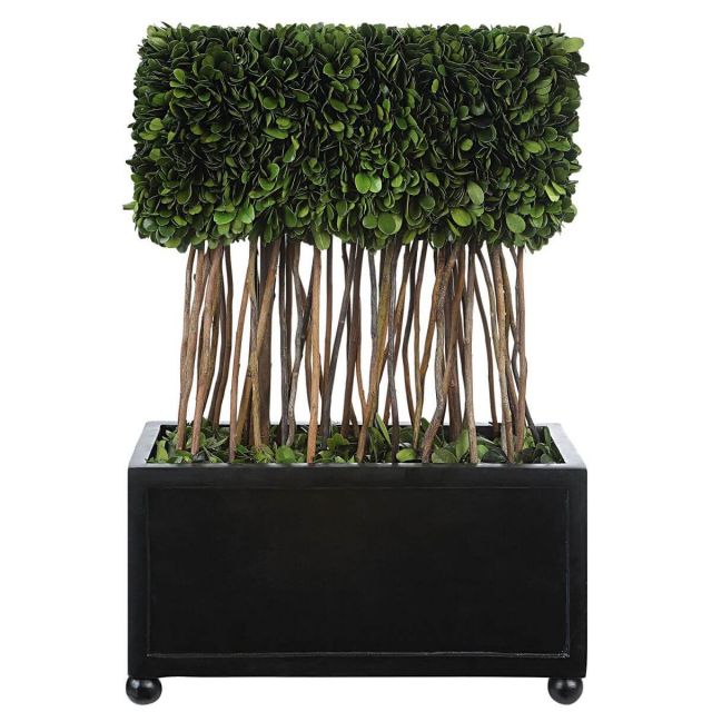 Uttermost Preserved Boxwood 13 x 18 inch Rectangular Topiary in Satin Black 60188