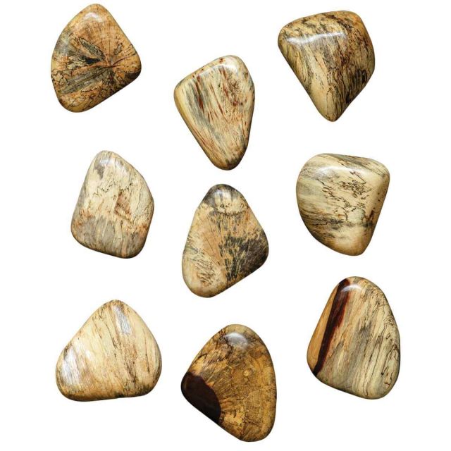 Uttermost 04324 Pebbles 6 x 5 inch Blonde Wood Wall Decor Set of 9