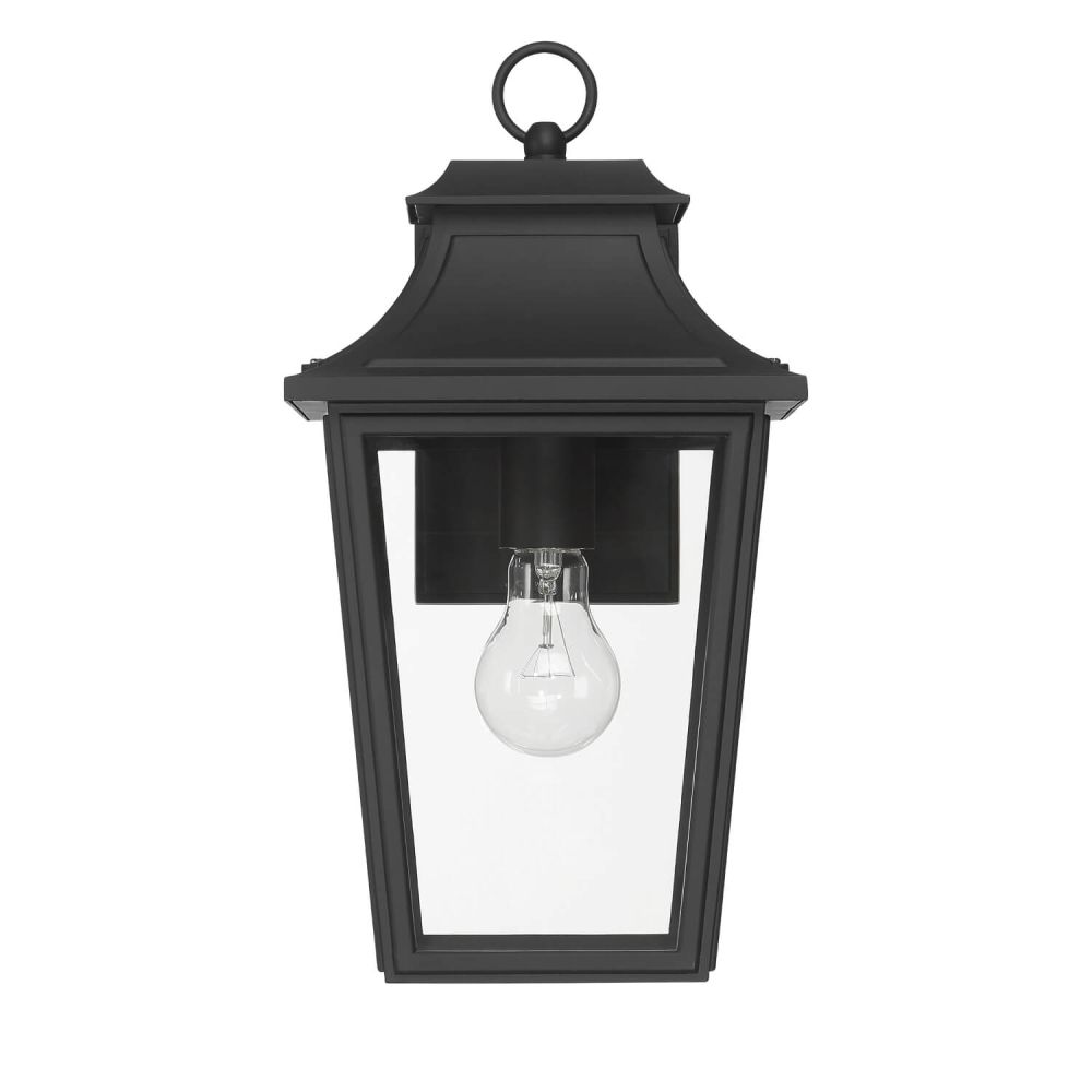 Hunter Spring Cove Outdoor Wall Light