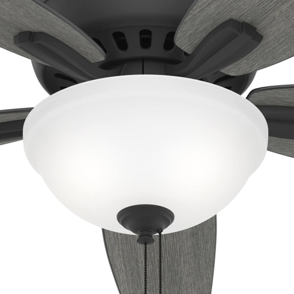 Hunter 52396 Newsome 52 inch 5 Blade Pull Chain LED Flush Fan in